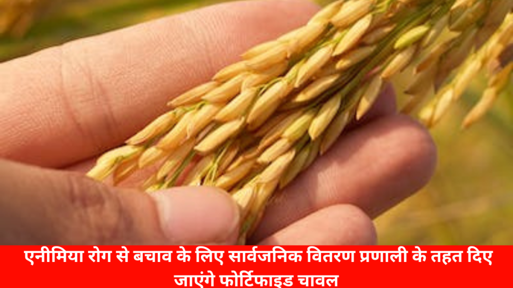 हमीरपुर न्यूज़ : एनीमिया रोग से बचाव के लिए सार्वजनिक वितरण प्रणाली के तहत दिए जाएंगे फोर्टिफाइड चावल