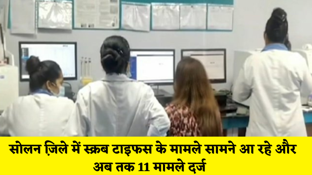 सोलन न्यूज़ : सोलन जि़ले में स्क्रब टाइफस के मामले सामने आ रहे और अब तक 11 मामले दर्ज